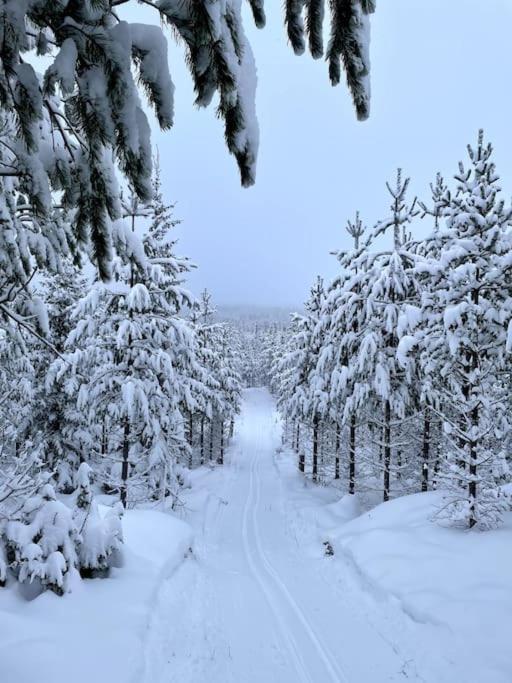 Cozy Mountain View Apartment Orrviken Luaran gambar