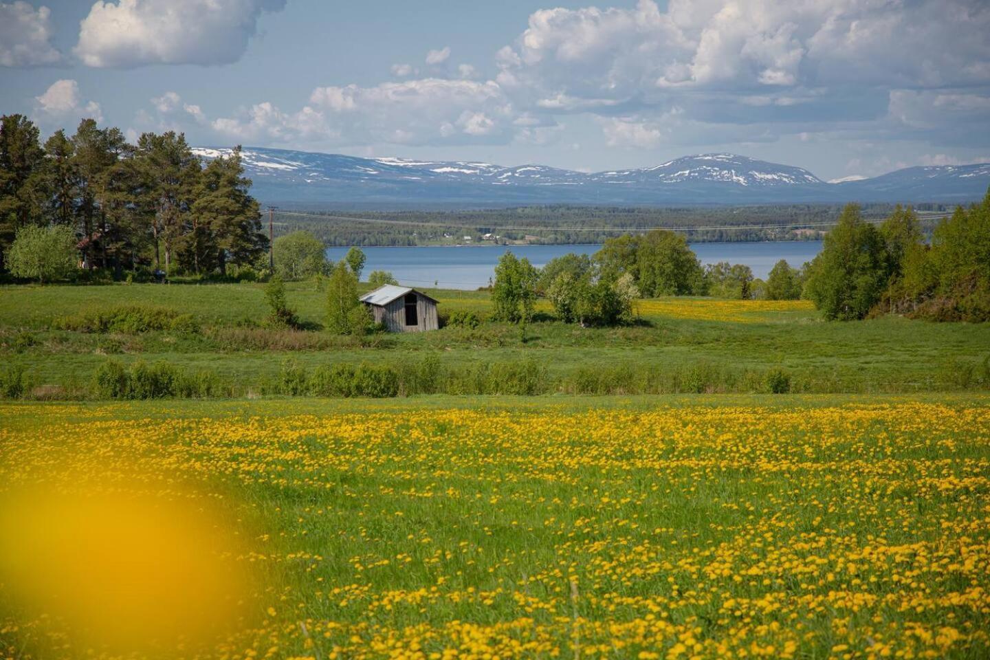 Cozy Mountain View Apartment Orrviken Luaran gambar